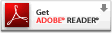 adobe2